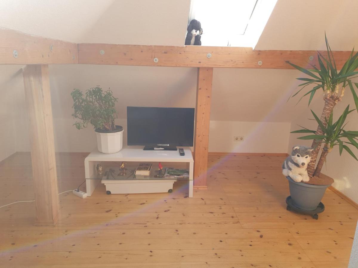 Hotel, Ferienwohnung, Zimmer Bad Driburg Kültér fotó